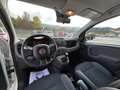 Fiat Panda YOUNG 1.2 69cv Bianco - thumbnail 6