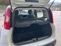 Fiat Panda YOUNG 1.2 69cv Bianco - thumbnail 11