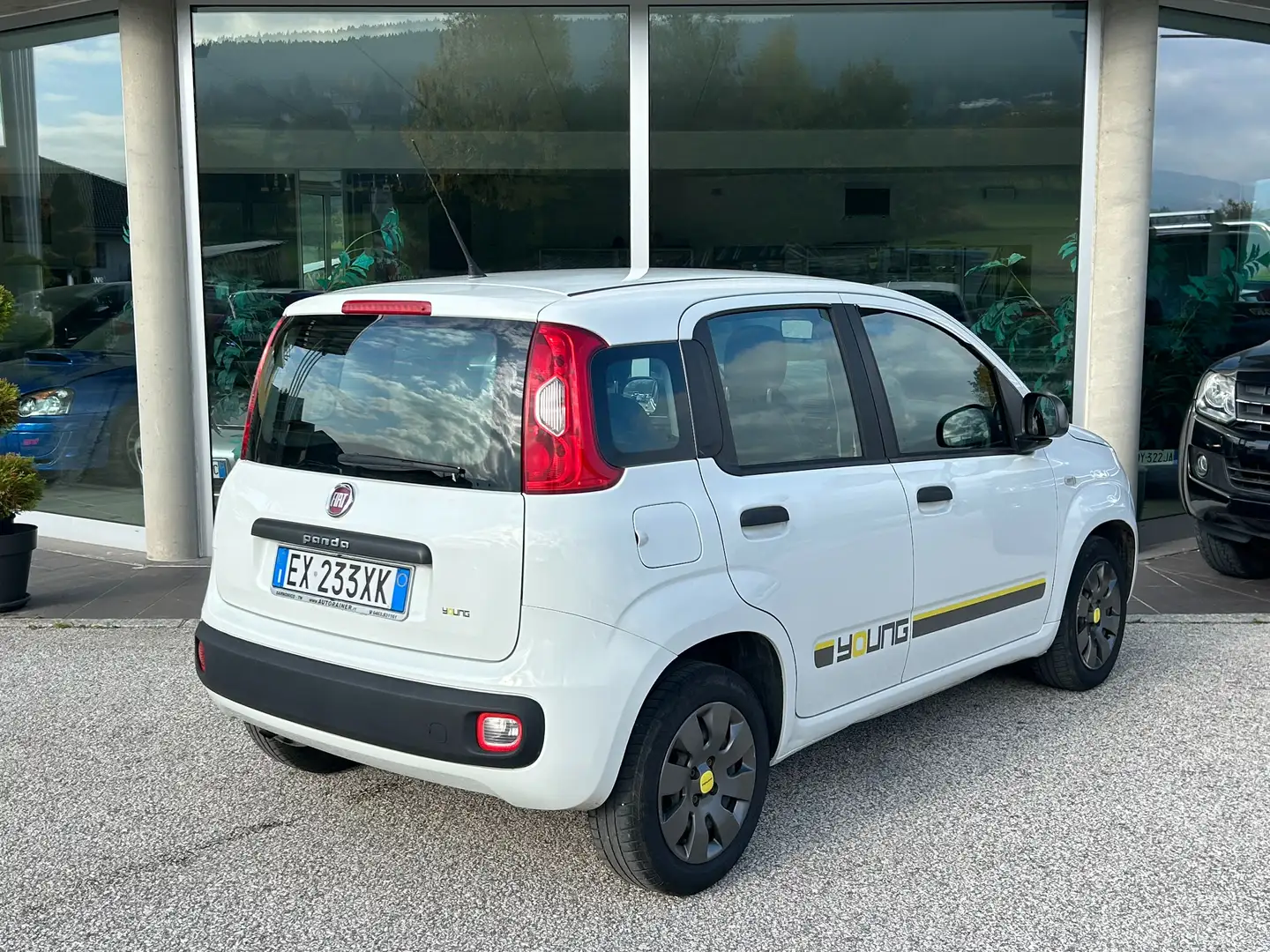Fiat Panda YOUNG 1.2 69cv Bianco - 2