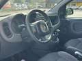 Fiat Panda YOUNG 1.2 69cv Bianco - thumbnail 5