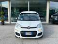 Fiat Panda YOUNG 1.2 69cv Bianco - thumbnail 4