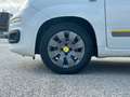 Fiat Panda YOUNG 1.2 69cv Bianco - thumbnail 15