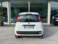 Fiat Panda YOUNG 1.2 69cv Bianco - thumbnail 3