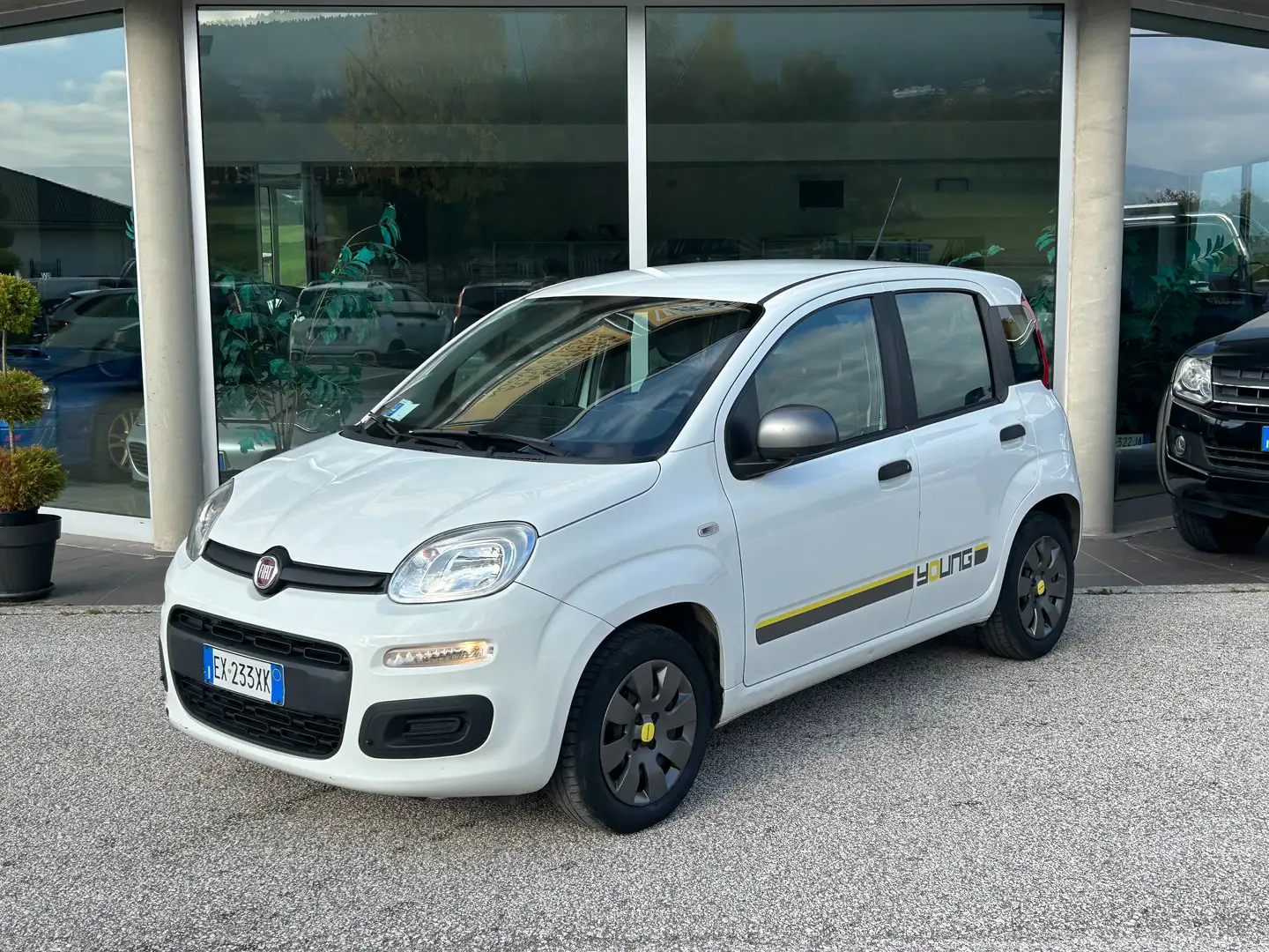 Fiat Panda YOUNG 1.2 69cv Bianco - 1