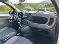 Fiat Panda YOUNG 1.2 69cv Bianco - thumbnail 13