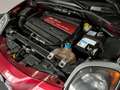 Alfa Romeo MiTo 1.4 T 170 CV M.air S&S Quadrifoglio Verde Rot - thumbnail 12