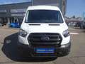 Ford Transit Kasten 350 L2 H2 Limited *KAM*TEMP*KLIMA Weiß - thumbnail 2