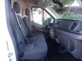 Ford Transit Kasten 350 L2 H2 Limited *KAM*TEMP*KLIMA Weiß - thumbnail 11