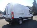 Ford Transit Kasten 350 L2 H2 Limited *KAM*TEMP*KLIMA Weiß - thumbnail 6