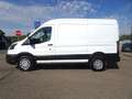 Ford Transit Kasten 350 L2 H2 Limited *KAM*TEMP*KLIMA Weiß - thumbnail 4