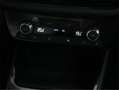 Skoda Fabia 1.0 TSI Selection DSG 85kW Gris - thumbnail 15