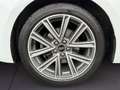 Audi A1 Sportback 30 1.0 TFSI advanced RFK Navi LED SHZ Weiß - thumbnail 7