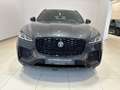 Jaguar F-Pace D300 R-Dynamic SE AHK HEAD-UP SD ACC WKP Grau - thumbnail 7
