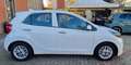 Kia Picanto 1.0 dpi Style PREZZO REALE Bianco - thumbnail 8