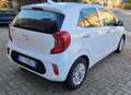 Kia Picanto 1.0 dpi Style PREZZO REALE Bianco - thumbnail 6