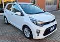 Kia Picanto 1.0 dpi Style PREZZO REALE Bianco - thumbnail 3