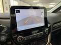 Ford Fiesta 5p 1.1 Titanium 75cv Neopatentati Telecam+Sensori Bianco - thumbnail 14
