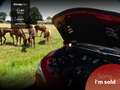 Alfa Romeo Stelvio 2.9 V6 AWD QV | VERKOCHT | Carbon | Carplay | Dak Rood - thumbnail 11