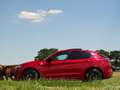 Alfa Romeo Stelvio 2.9 V6 AWD QV | Ragazzon | Carbon | Carplay | Dak Rood - thumbnail 6