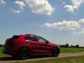 Alfa Romeo Stelvio 2.9 V6 AWD QV | Ragazzon | Carbon | Carplay | Dak Rood - thumbnail 38