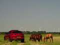 Alfa Romeo Stelvio 2.9 V6 AWD QV | Ragazzon | Carbon | Carplay | Dak Rood - thumbnail 8