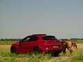 Alfa Romeo Stelvio 2.9 V6 AWD QV | Ragazzon | Carbon | Carplay | Dak Rood - thumbnail 14