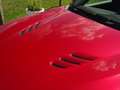 Alfa Romeo Stelvio 2.9 V6 AWD QV | Ragazzon | Carbon | Carplay | Dak Rood - thumbnail 5