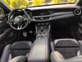 Alfa Romeo Stelvio 2.9 V6 AWD QV | Ragazzon | Carbon | Carplay | Dak Rood - thumbnail 49