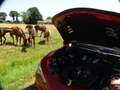 Alfa Romeo Stelvio 2.9 V6 AWD QV | Ragazzon | Carbon | Carplay | Dak Rood - thumbnail 11