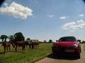 Alfa Romeo Stelvio 2.9 V6 AWD QV | Ragazzon | Carbon | Carplay | Dak Rood - thumbnail 12