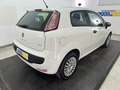 Fiat Punto Evo 3p 1.2 Dynamic s&s Neopatentati Bianco - thumbnail 4