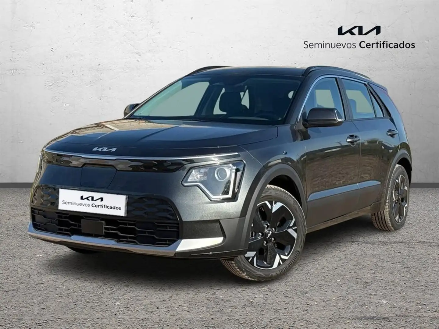 Kia Niro e- 150kW Concept (Long Range) Gris - 1