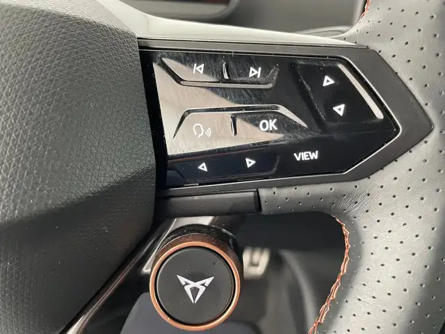 Cupra Tavascan view 15