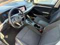 Volkswagen Golf Golf VIII 2020 1.5 etsi evo Life 130cv dsg Bleu - thumbnail 8
