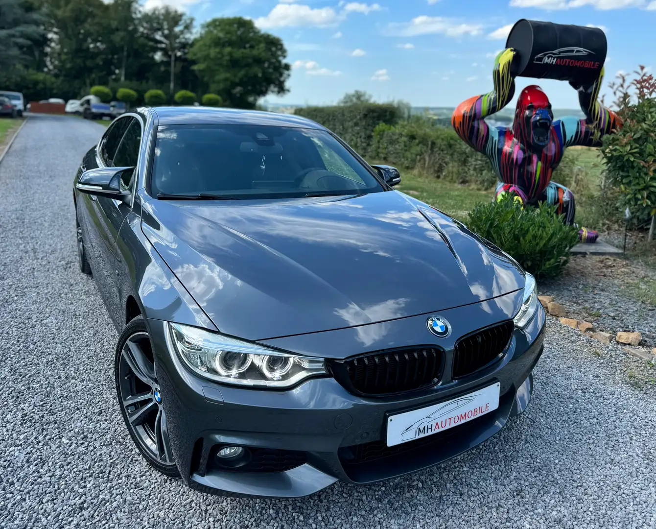 BMW 420 Gran Coupé 420iXA Grey - 2