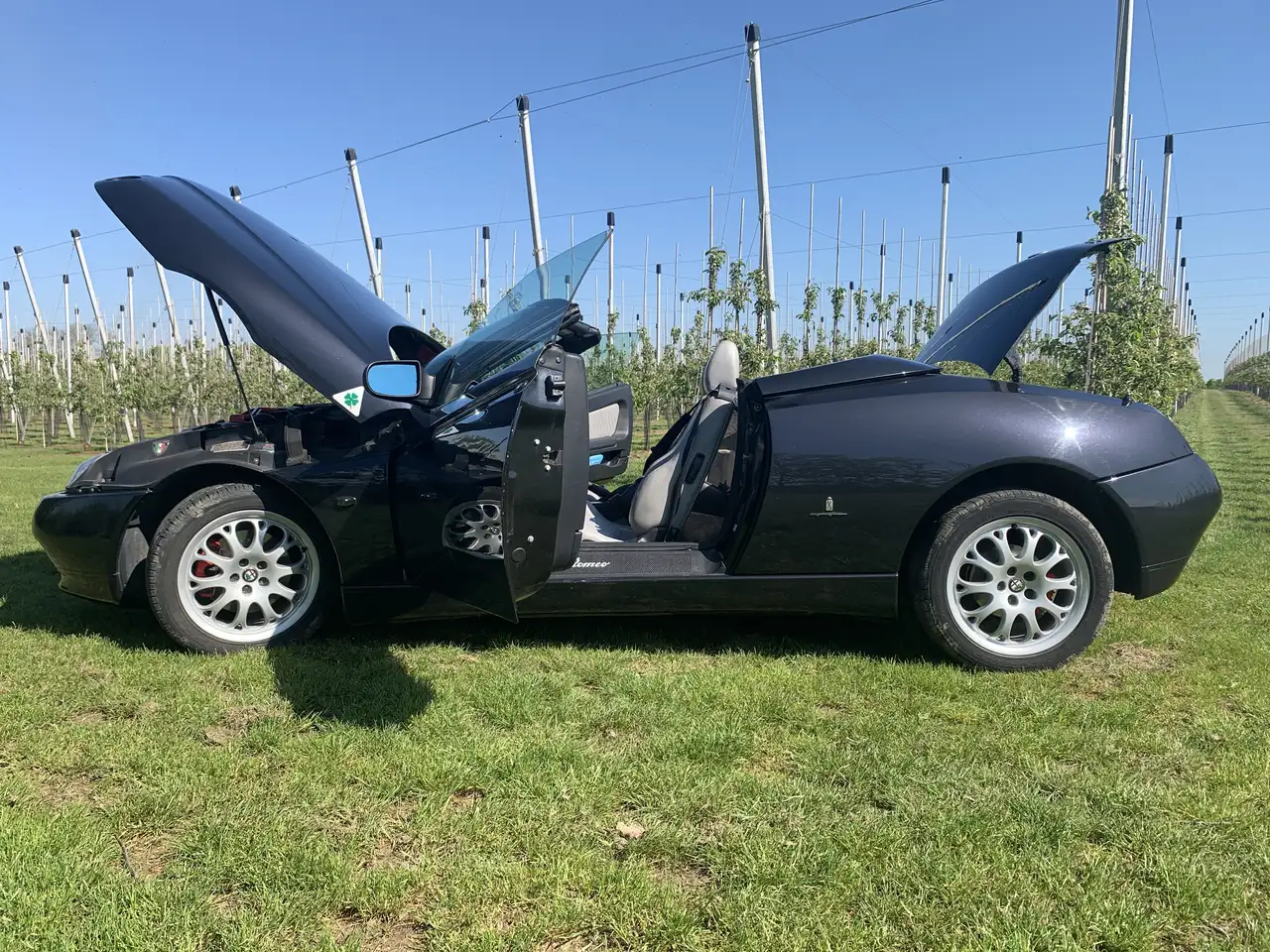 Alfa Romeo Spider 2.0 Twin Spark L, foto 7