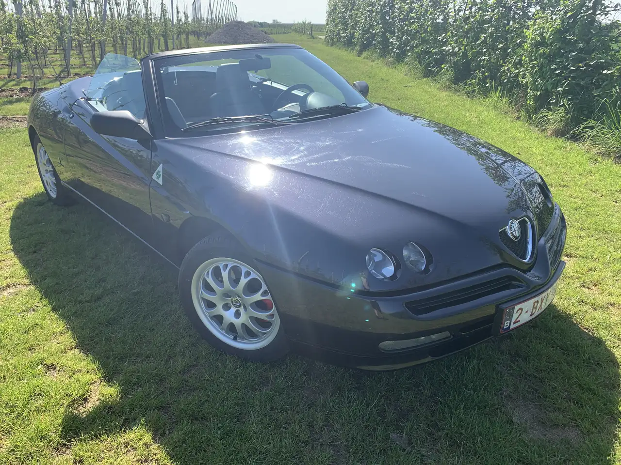 Alfa Romeo Spider 2.0 Twin Spark L, foto 3