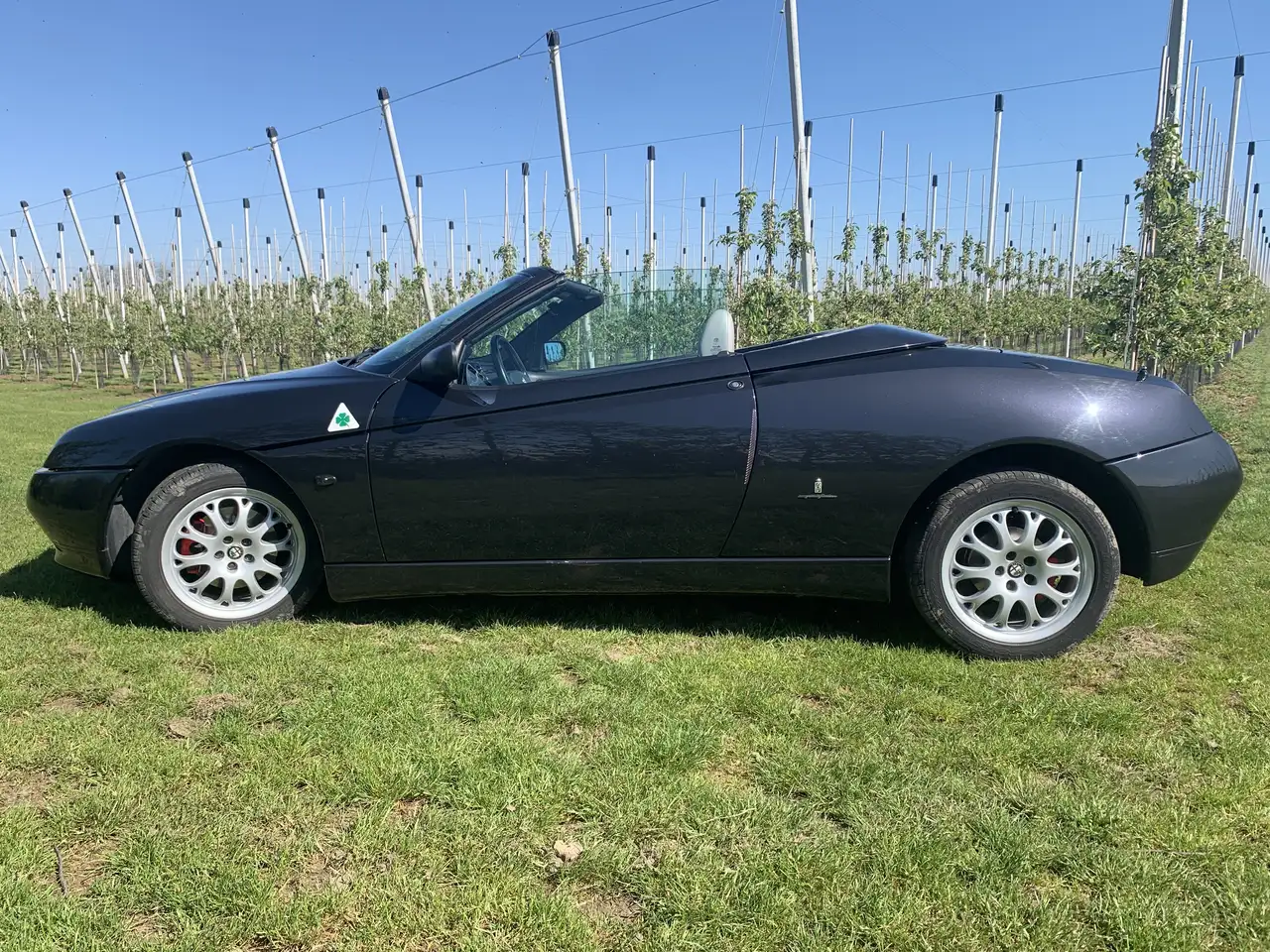 Alfa Romeo Spider 2.0 Twin Spark L, foto 5