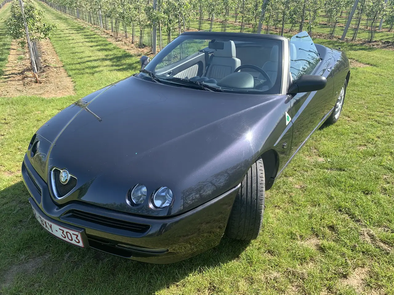 Alfa Romeo Spider 2.0 Twin Spark L, foto 2