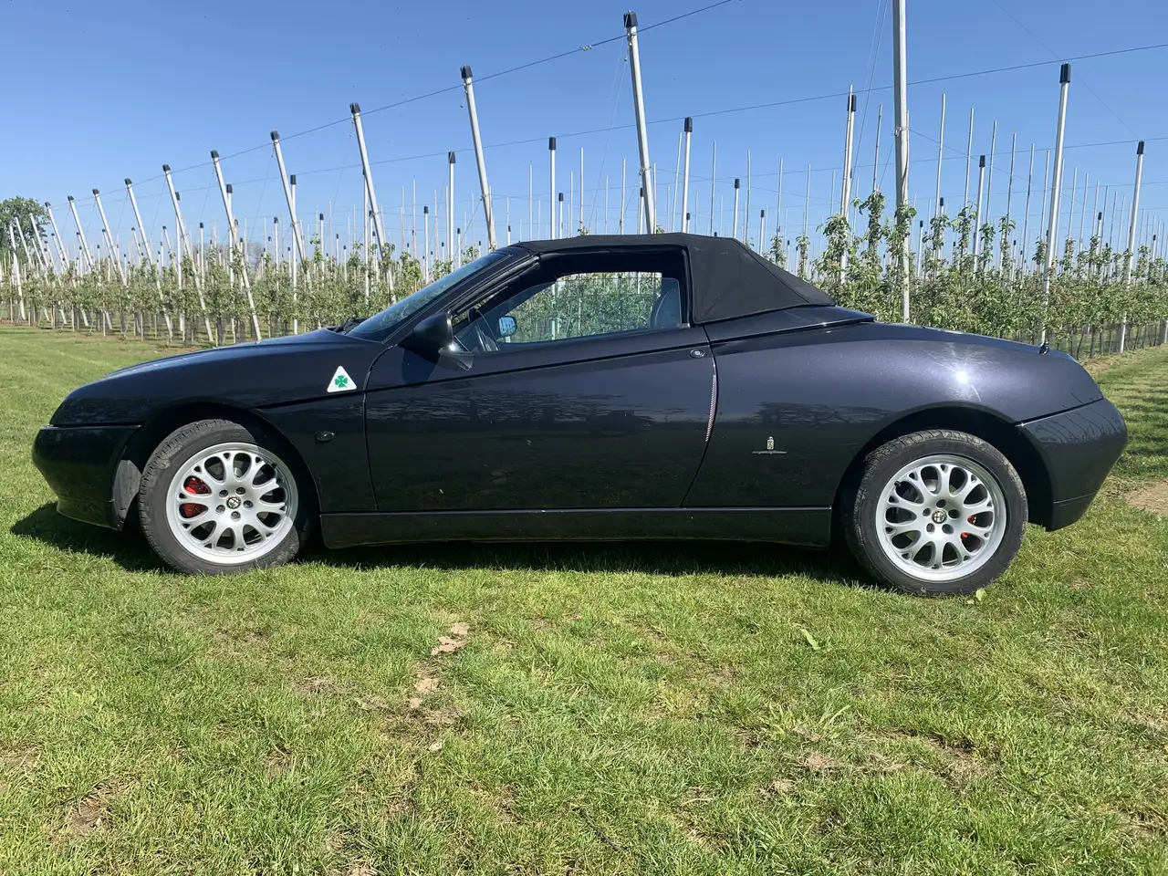 Alfa Romeo Spider 2.0 Twin Spark L, foto 12