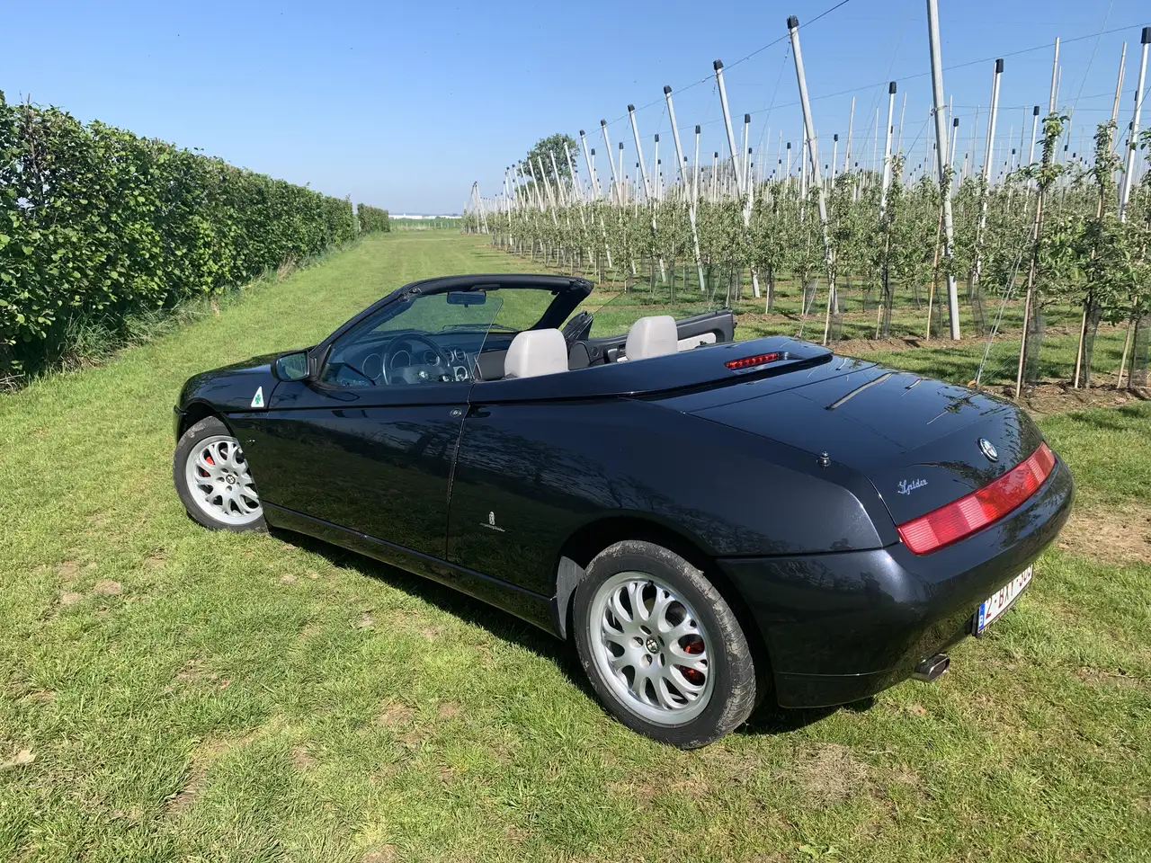 Alfa Romeo Spider 2.0 Twin Spark L, foto 1
