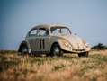 Volkswagen Kever Vert - thumbnail 2