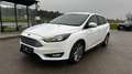 Ford Focus 1,0 EcoBoost Trend Blauw - thumbnail 2