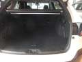 Subaru OUTBACK 2.5i Lineartronic Exclusive Cross Blanc - thumbnail 10