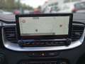 Kia Ceed / cee'd Ceed 1.5 T-GDI 140 PS GTL Tech Bleu - thumbnail 10
