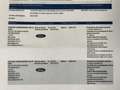 Ford Puma 1.0 EcoBoost Hybrid Titanium Adaptive cruise Clima Grijs - thumbnail 38