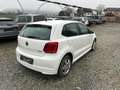 Volkswagen Polo 1.2 TDI Blue Motion Wit - thumbnail 4