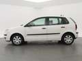 Volkswagen Polo 1.9 TDI 100 PK 4-CILINDER 5-DEURS + TREKHAAK / CRU Bianco - thumbnail 5