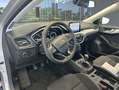 Ford Focus 1.0 Ecoboost MHEV Trend+ 125 Blanco - thumbnail 7
