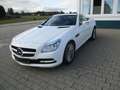 Mercedes-Benz SLK 250 SLK 250 CDI BlueEfficiency (172.403) Blanco - thumbnail 17